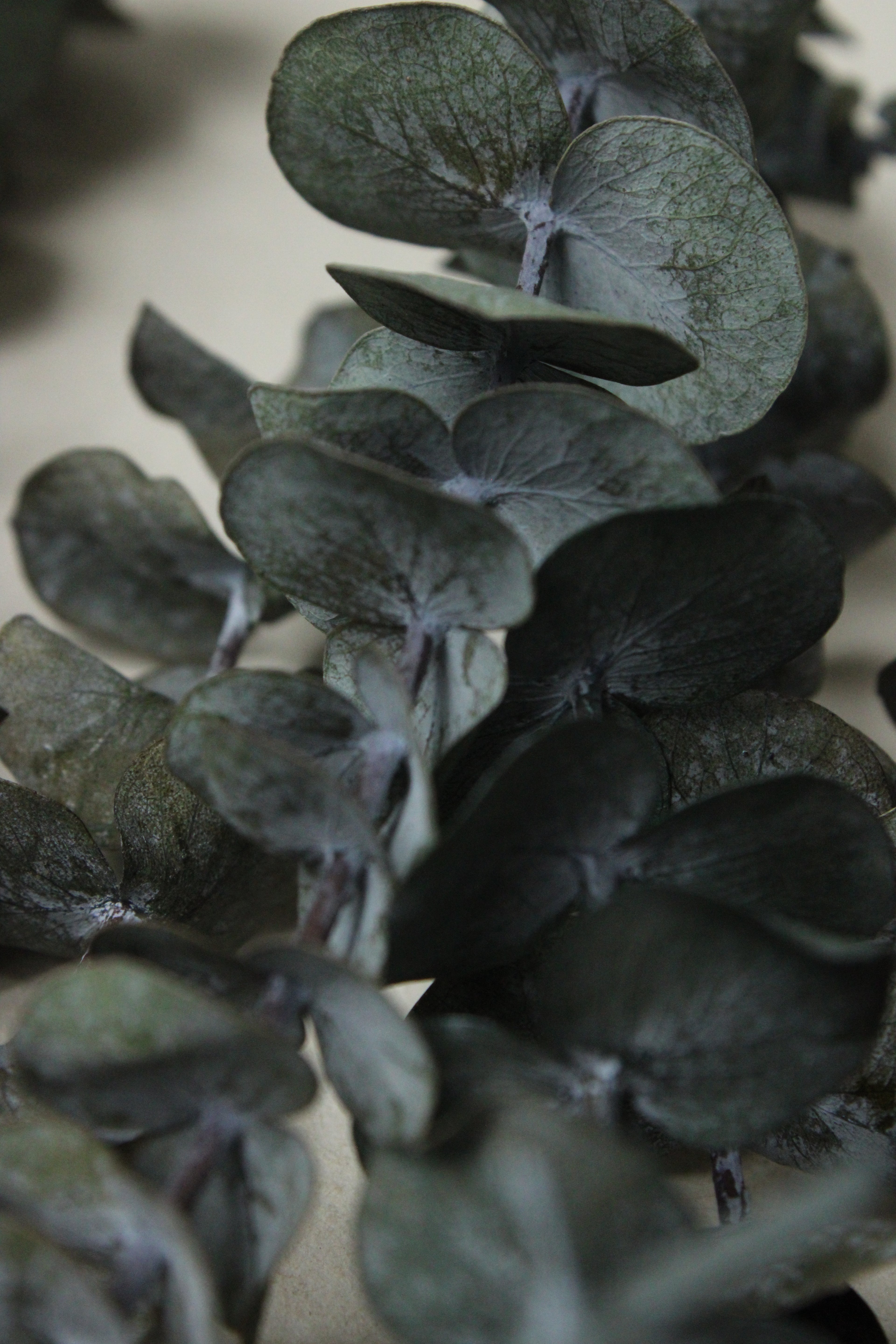 Vela envase mini - lisa