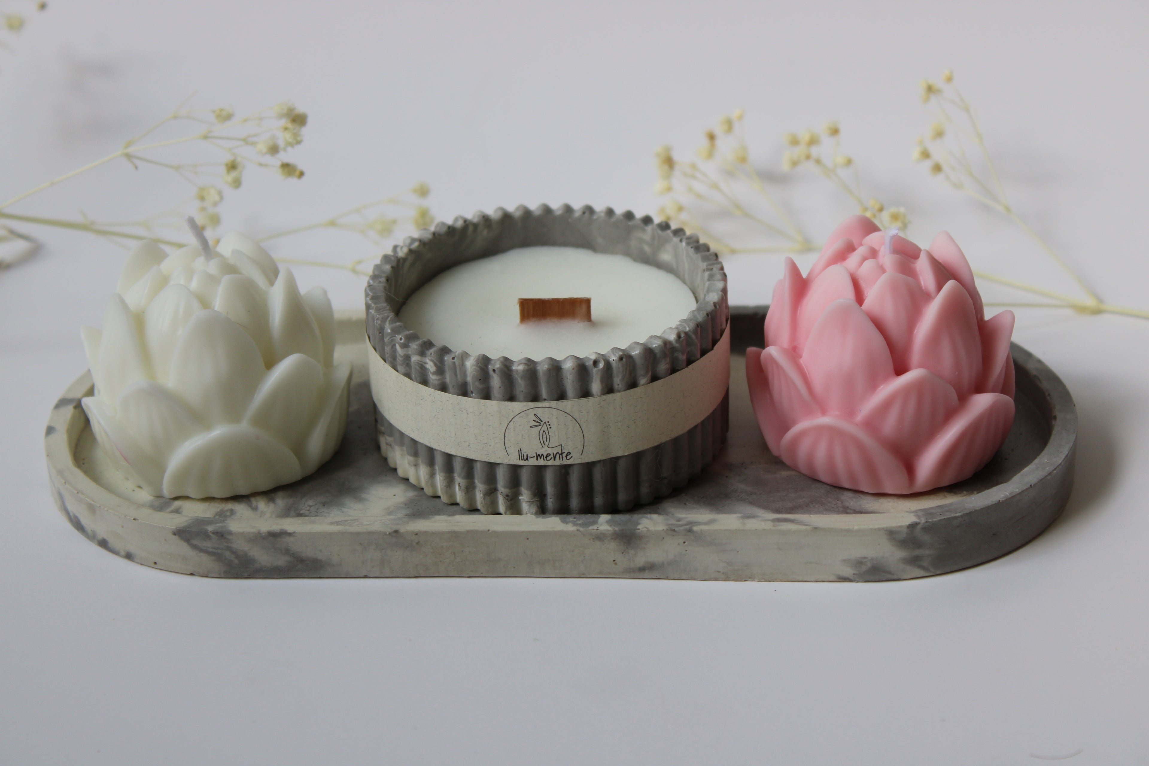 Kit Envase + 2 lotos