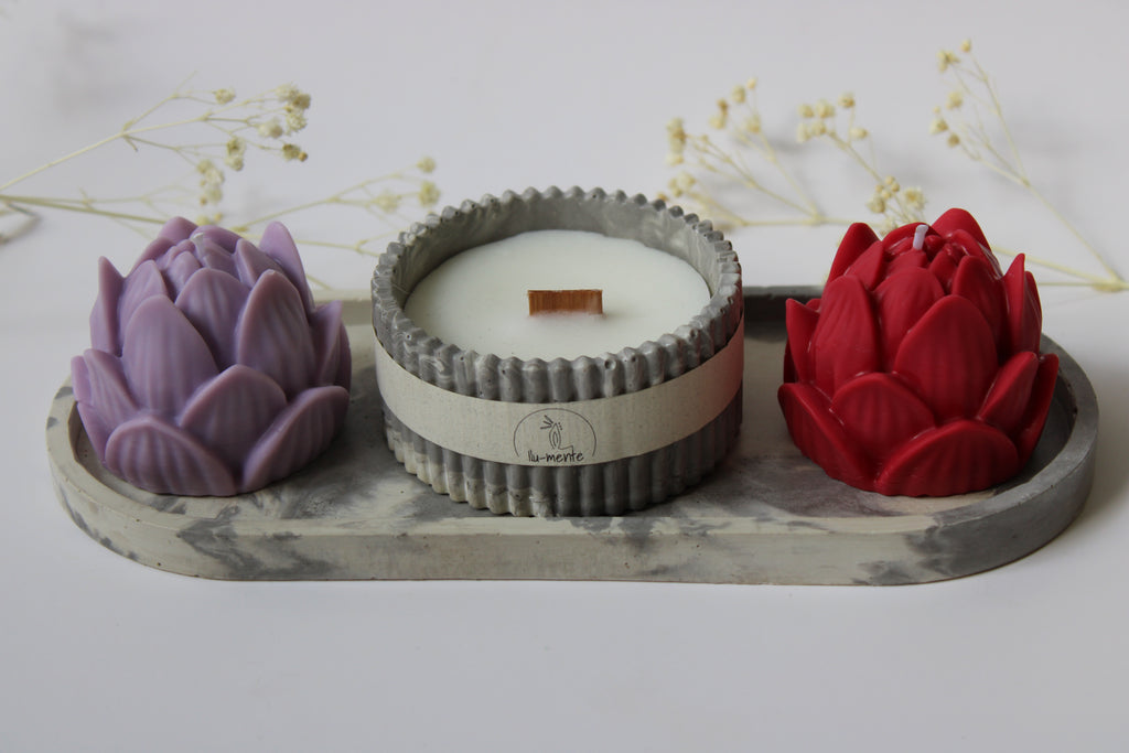 Kit Envase + 2 lotos