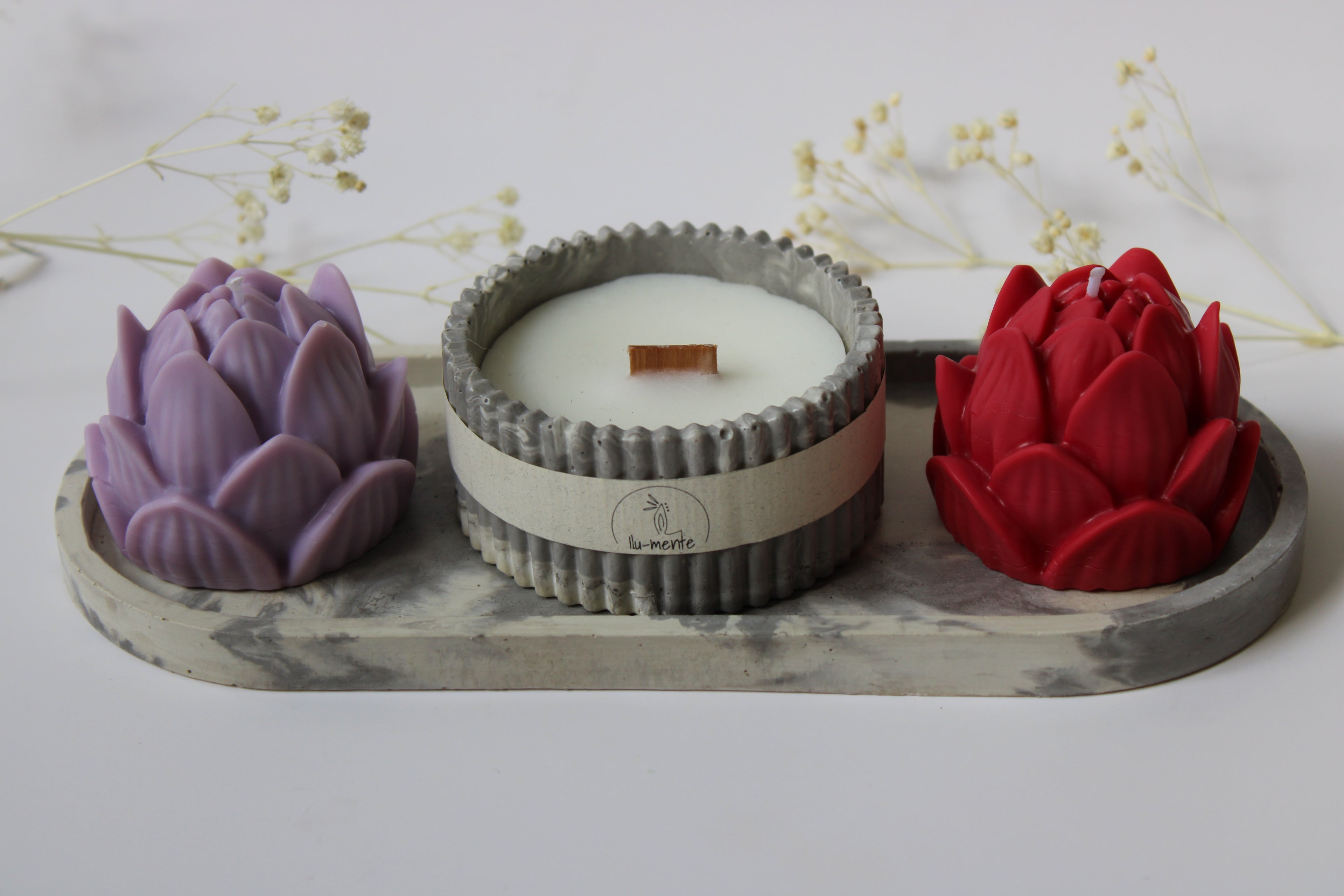 Kit Envase + 2 lotos