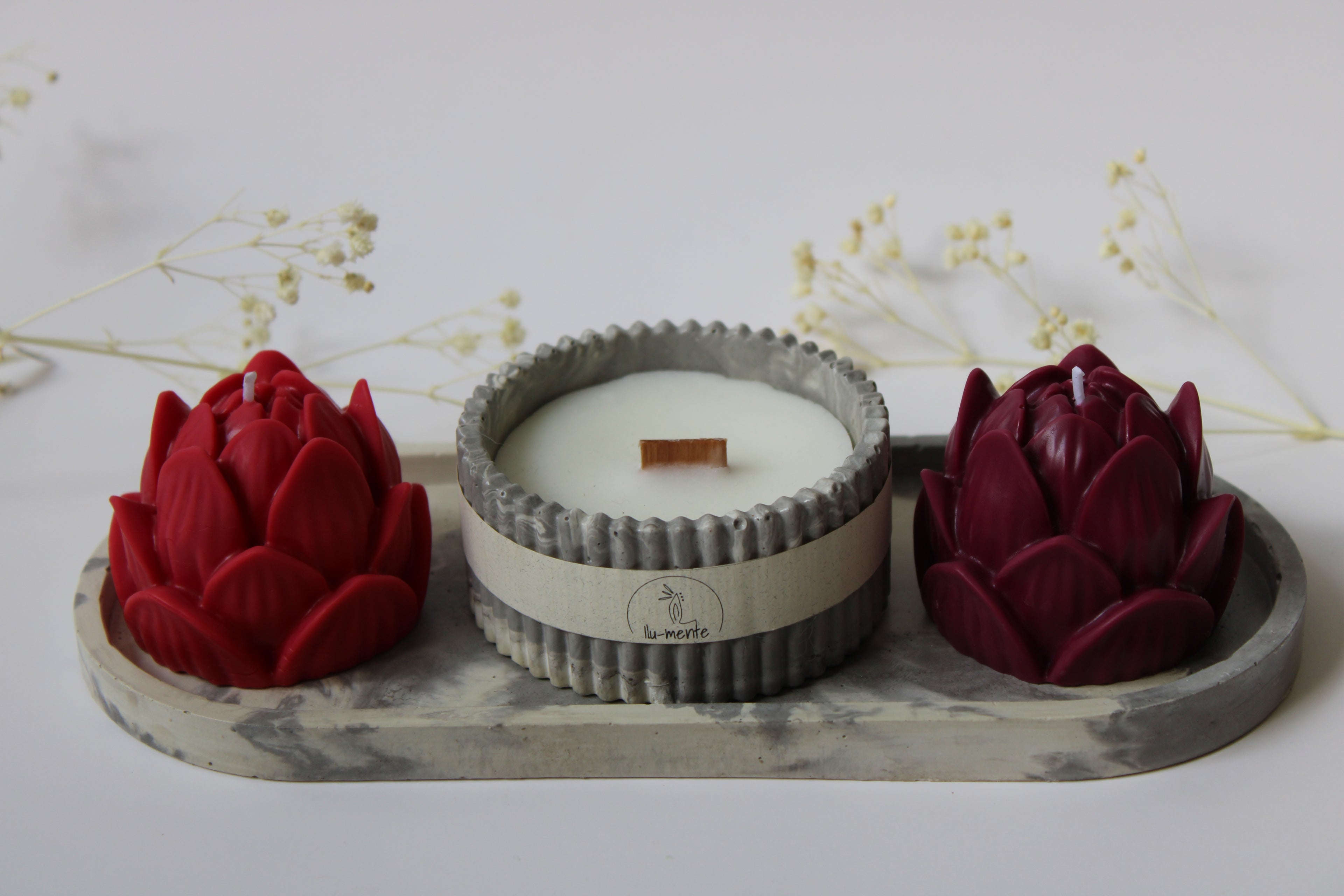 Kit Envase + 2 lotos