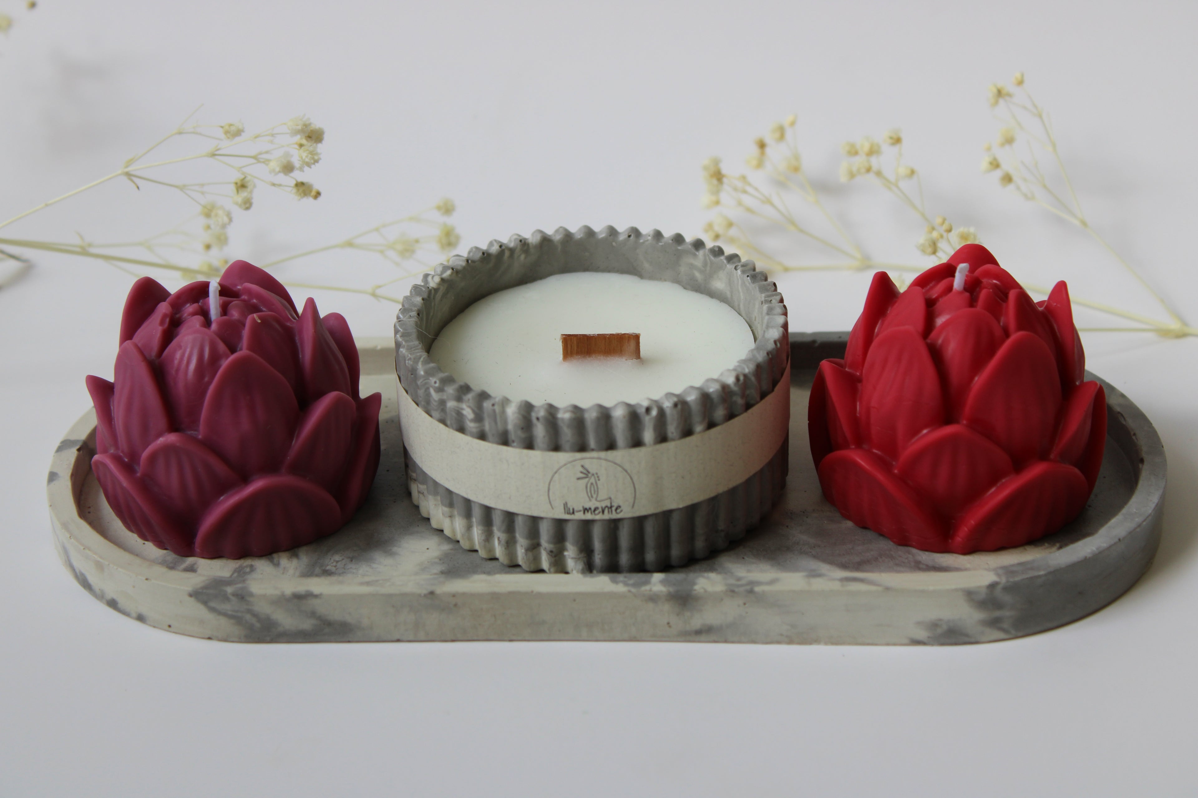 Kit Envase + 2 lotos