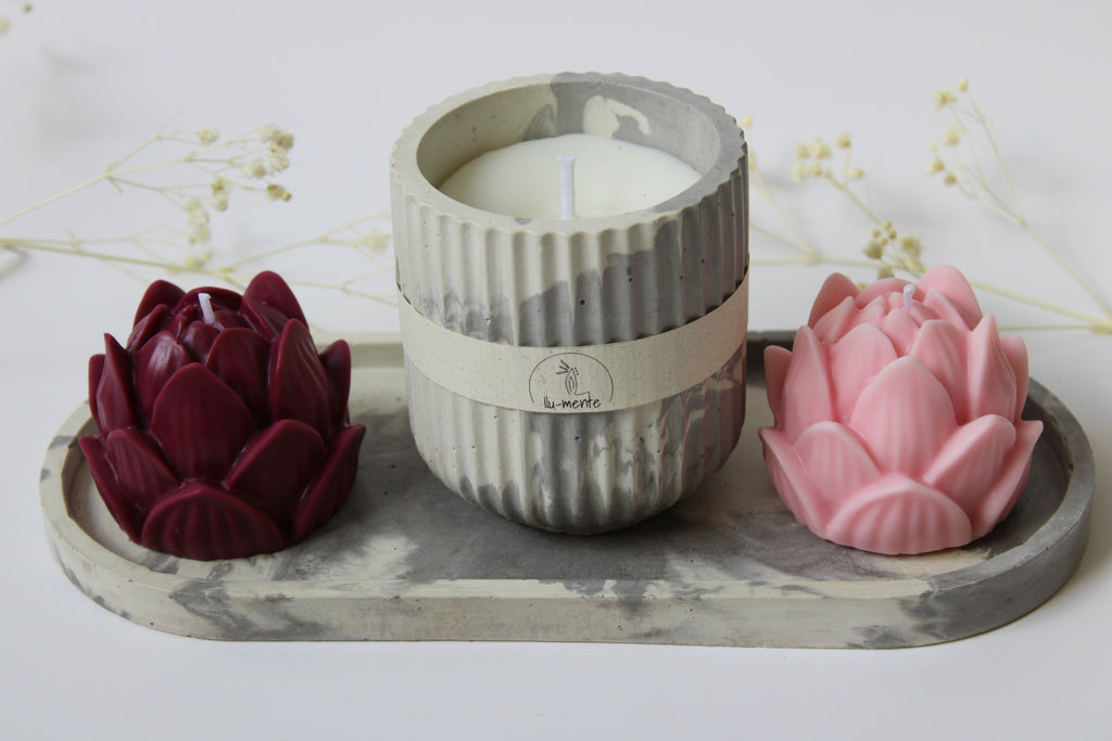 Kit Envase + 2 lotos