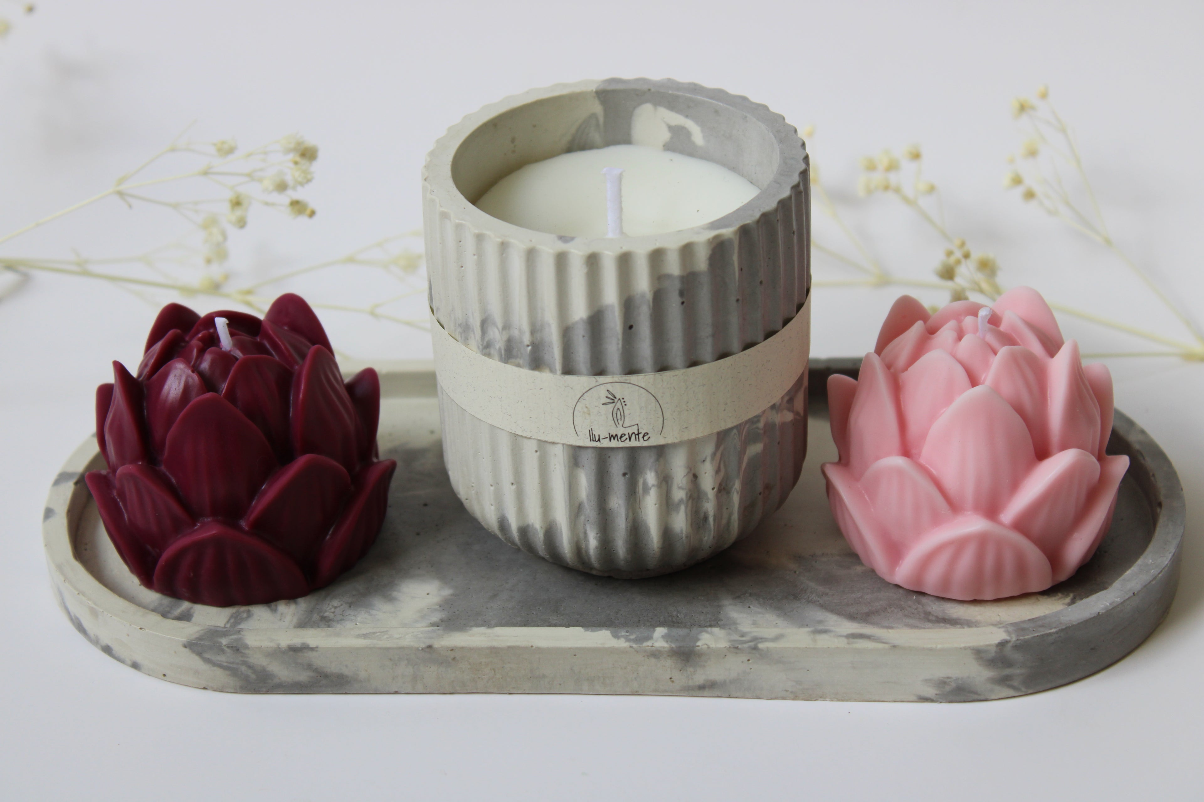 Kit Envase + 2 lotos