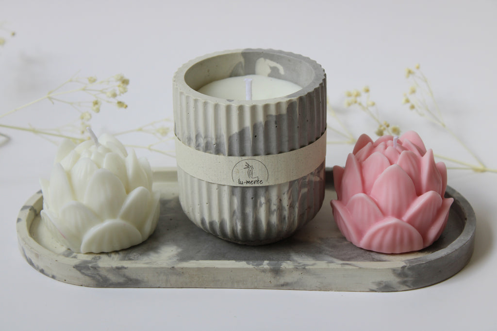 Kit Envase + 2 lotos