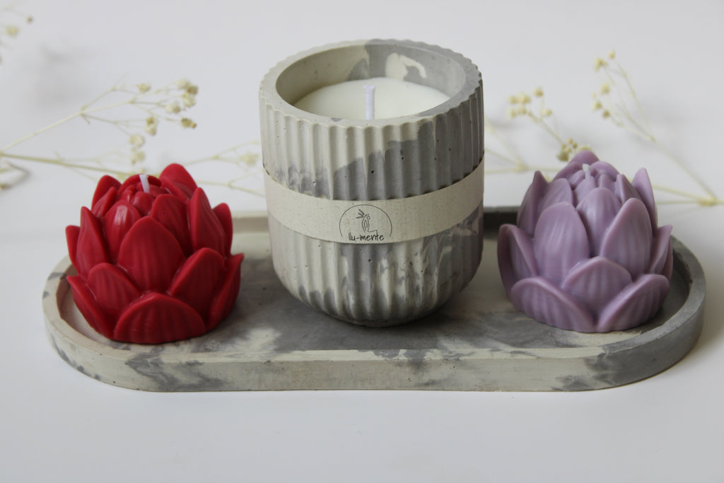 Kit Envase + 2 lotos