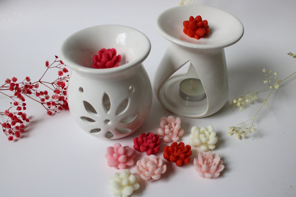 Wax melts suculentas + pebetero