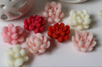 Wax melts suculentas
