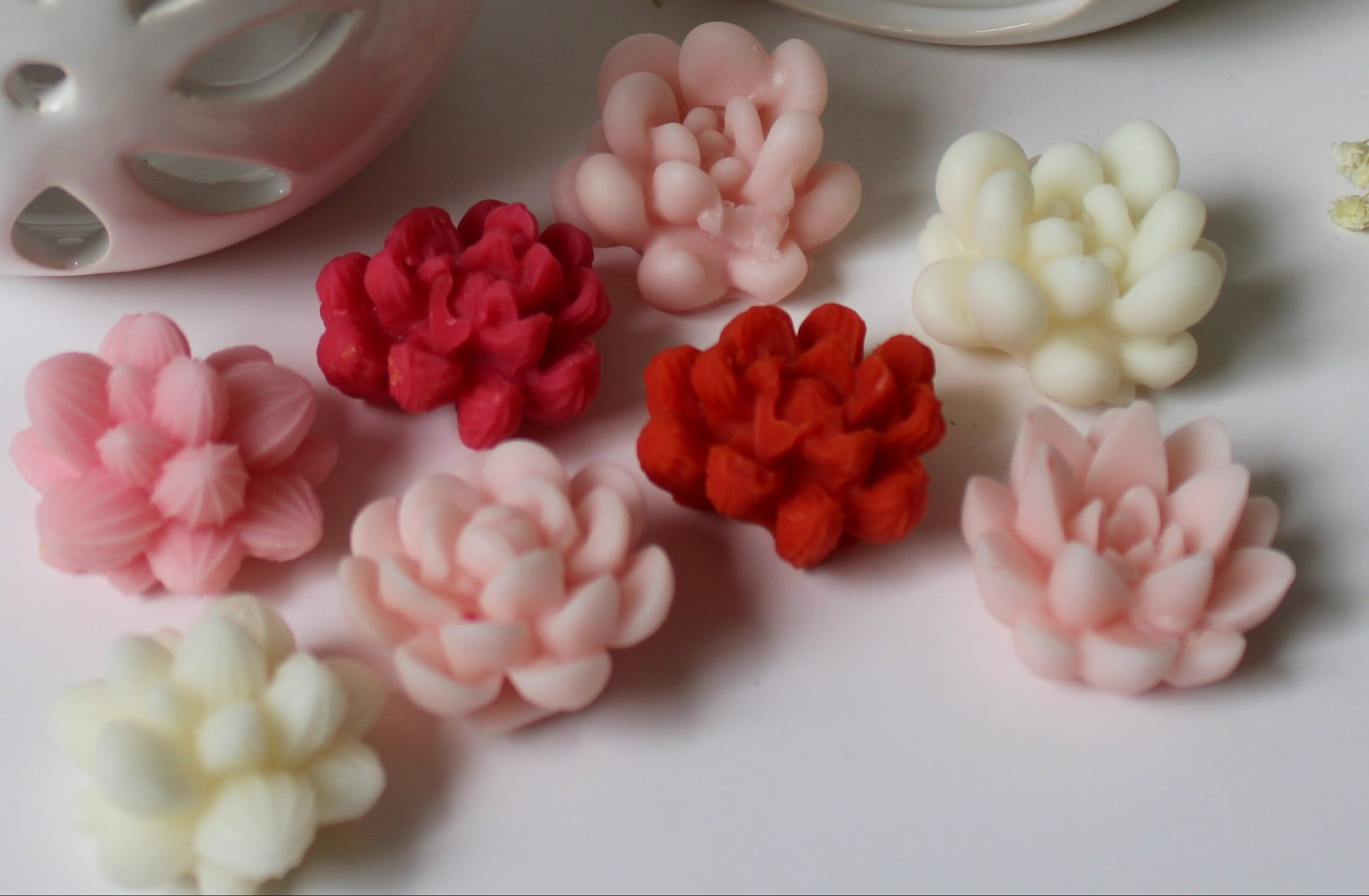 Wax melts suculentas