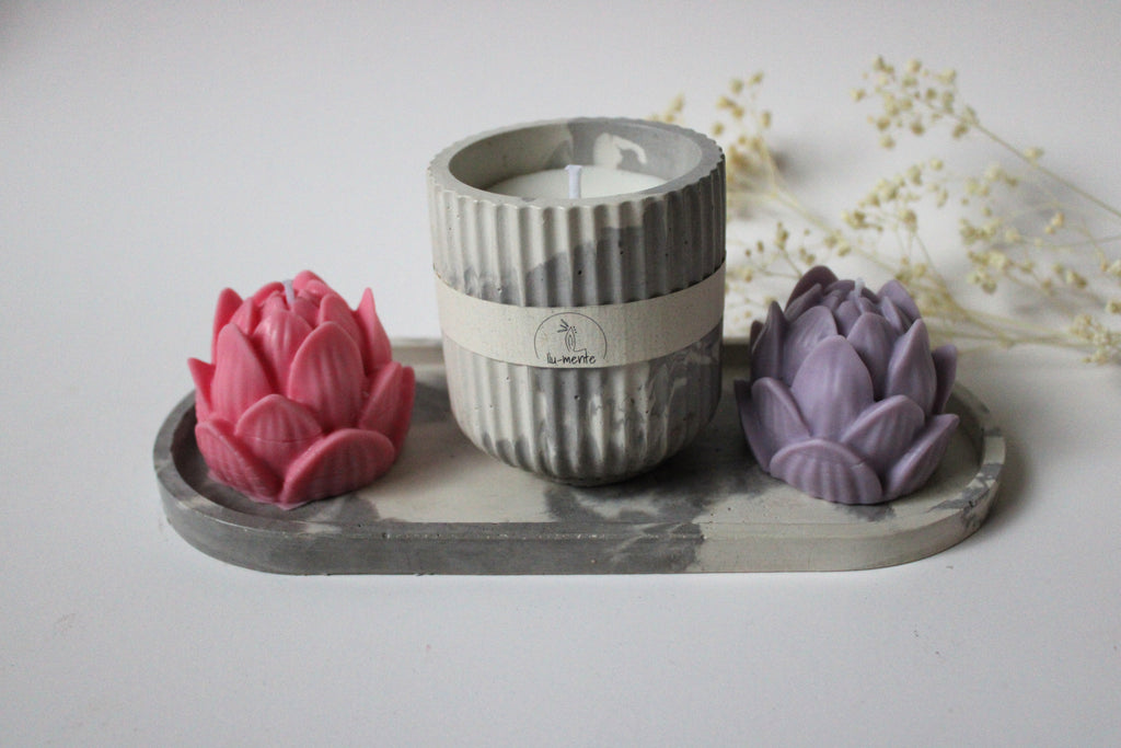 Kit Envase + 2 lotos