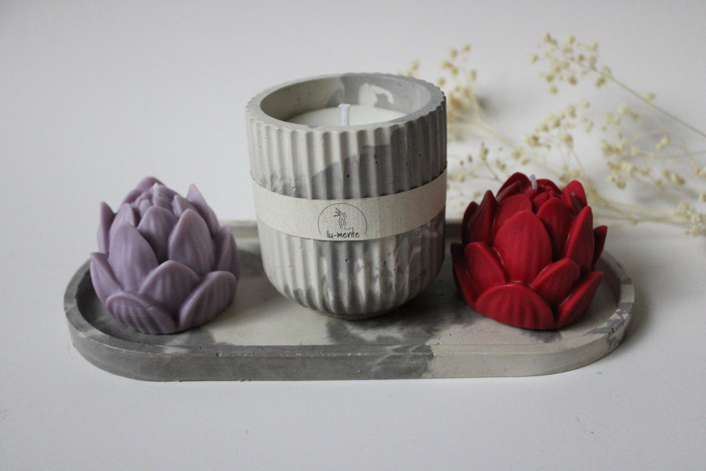 Kit Envase + 2 lotos