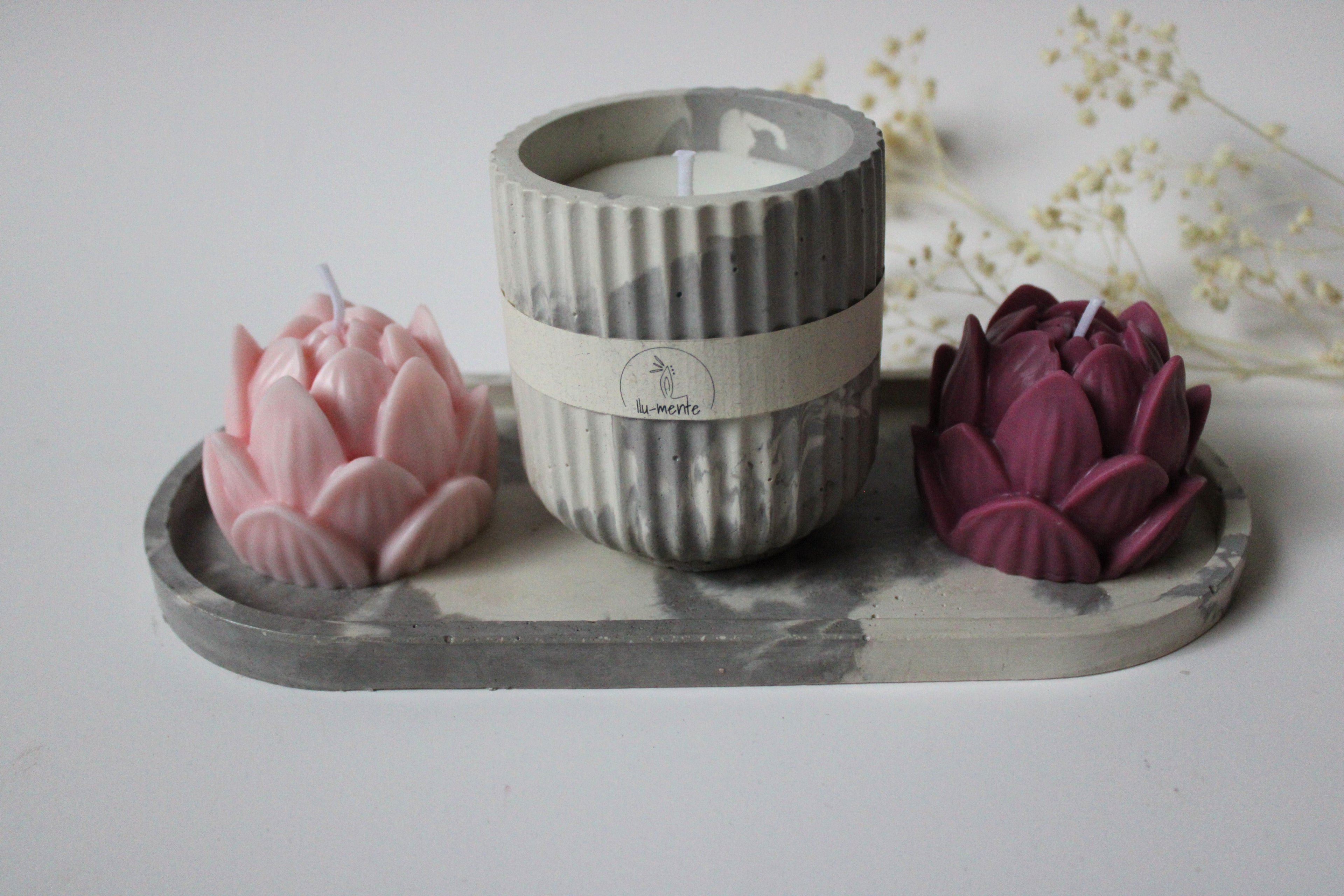 Kit Envase + 2 lotos