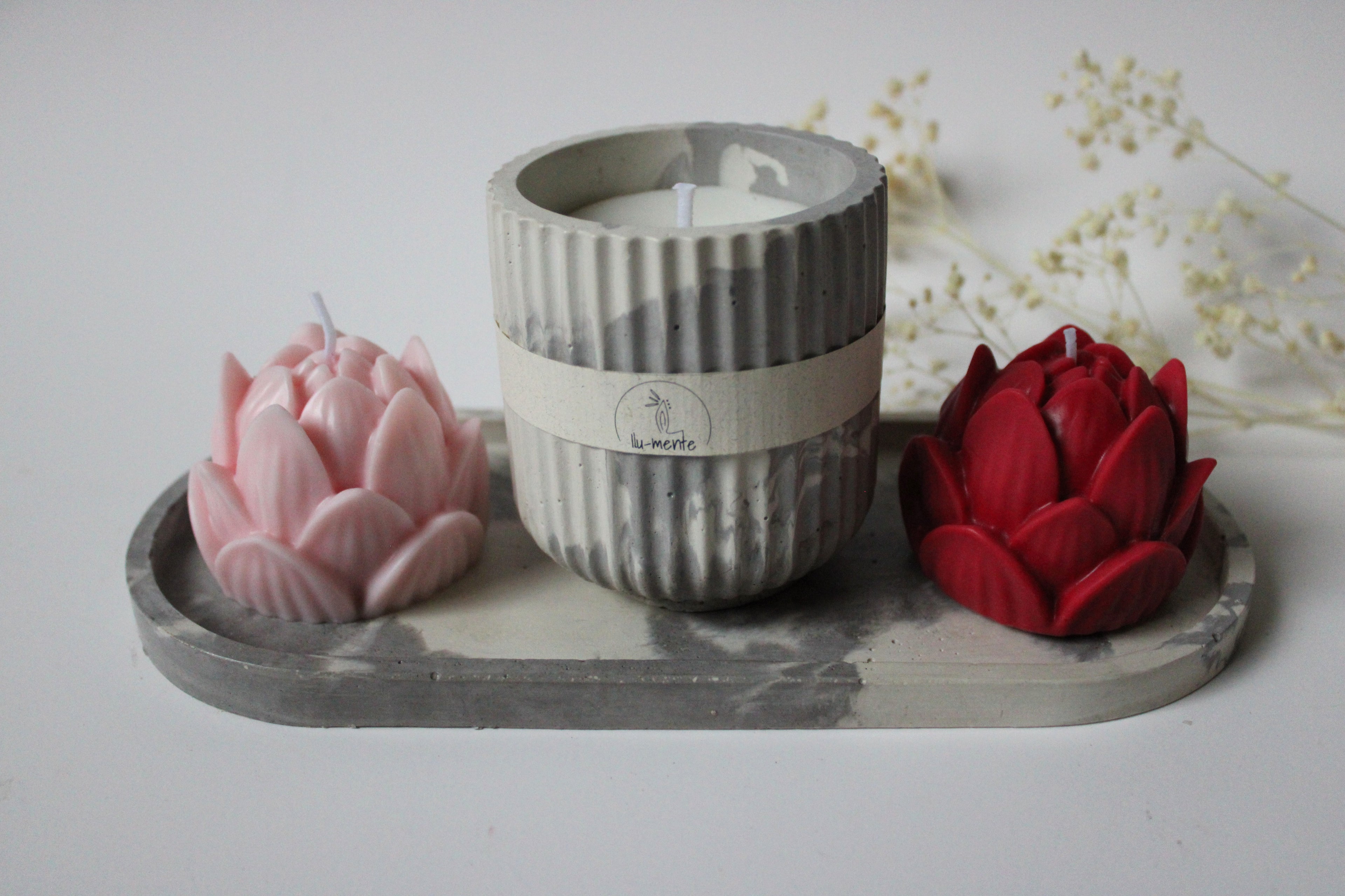 Kit Envase + 2 lotos