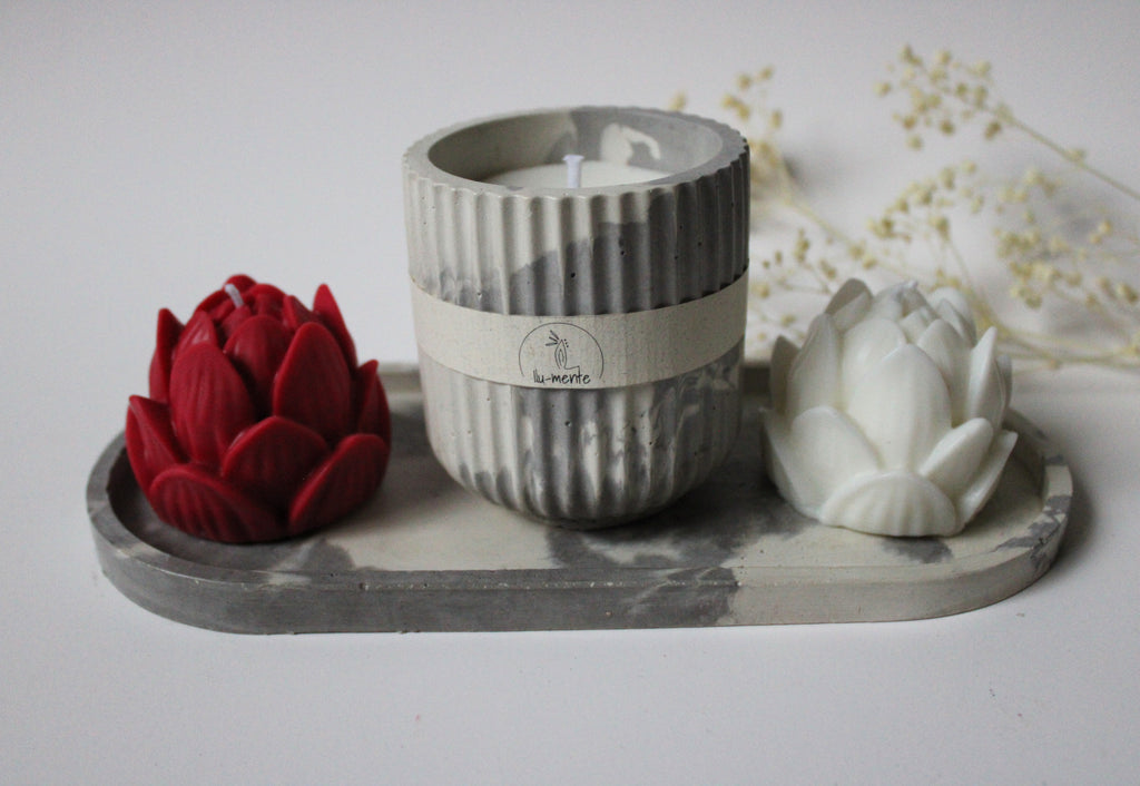 Kit Envase + 2 lotos