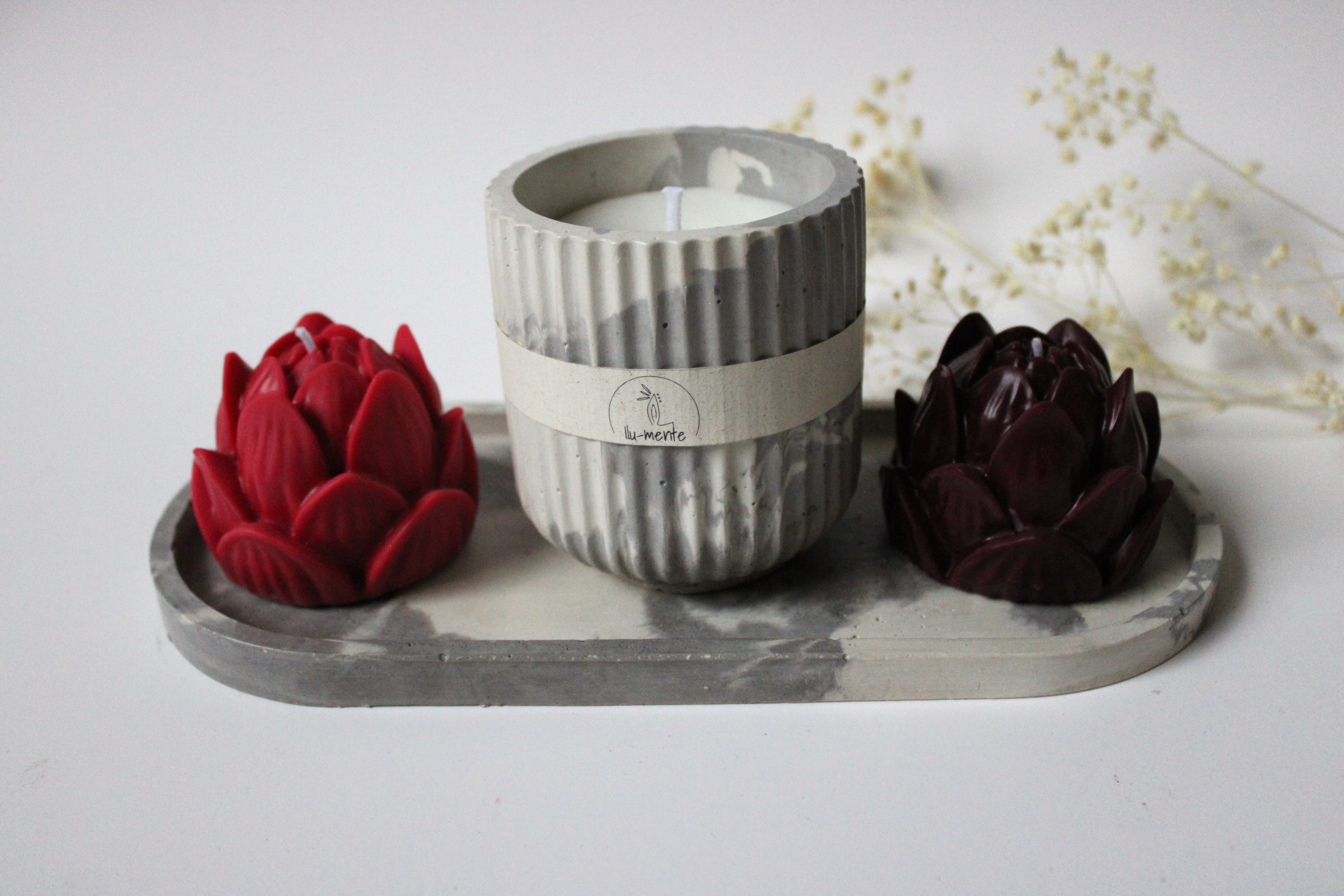 Kit Envase + 2 lotos