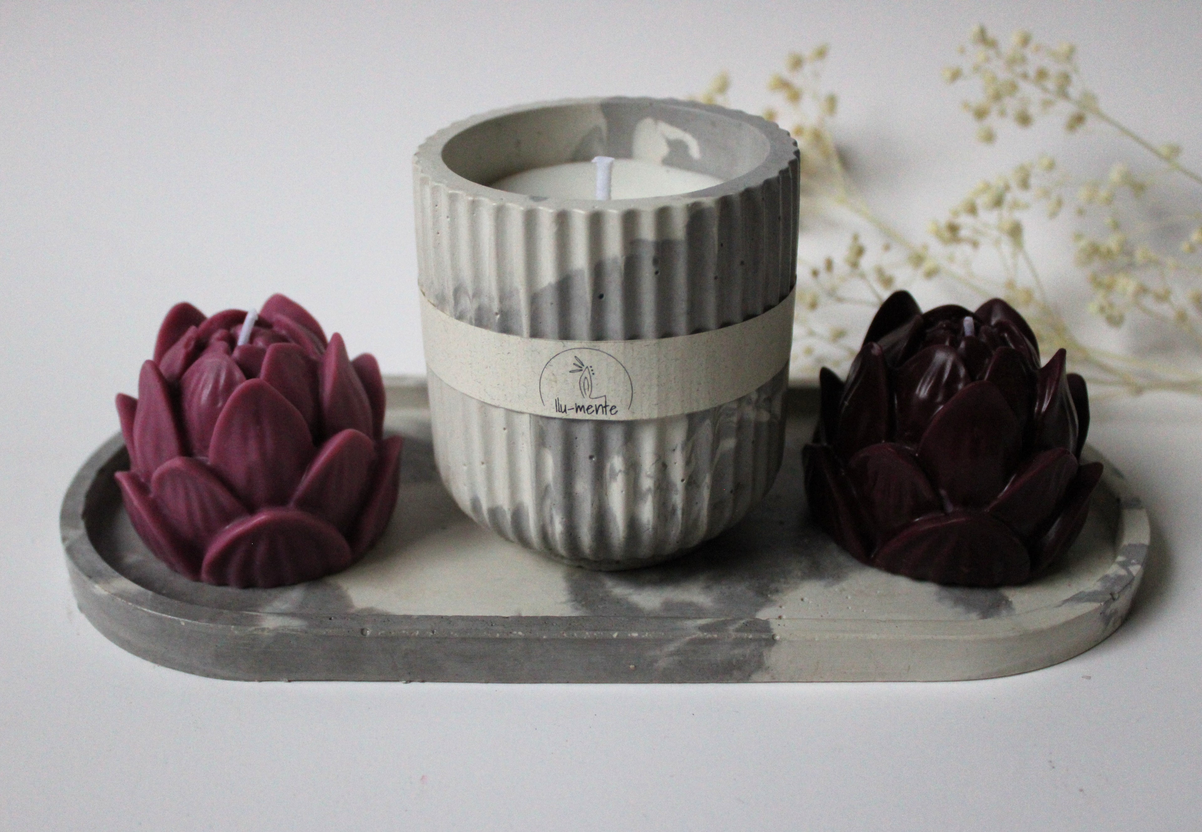 Kit Envase + 2 lotos