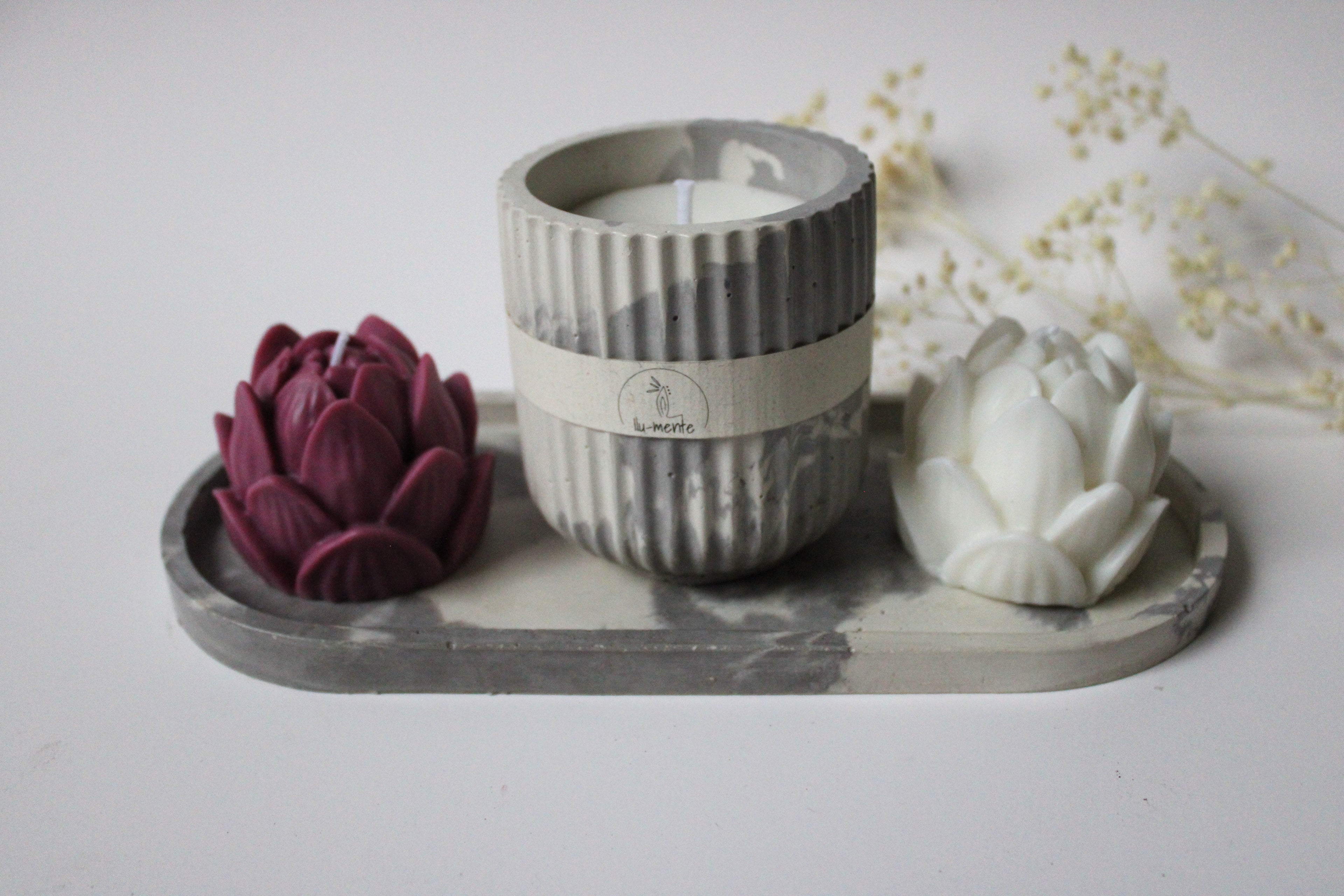 Kit Envase + 2 lotos