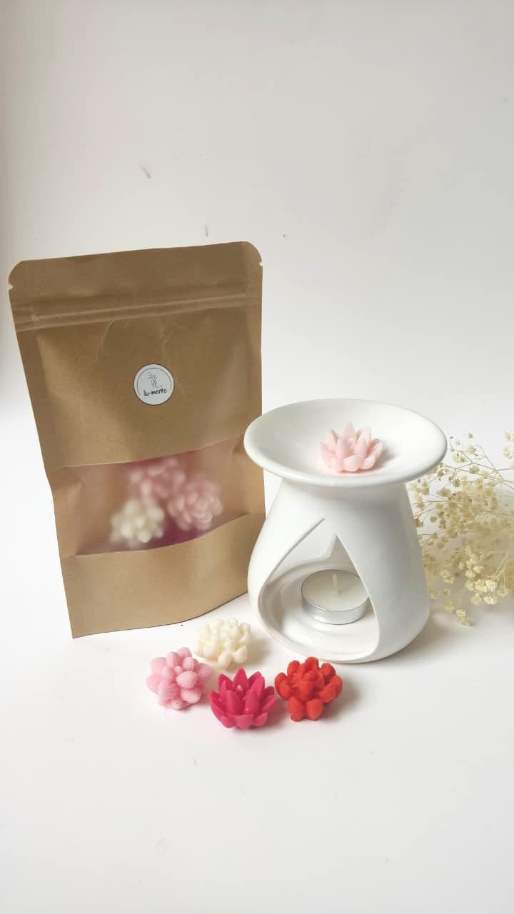 Wax melts suculentas + pebetero