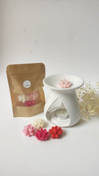 Wax melts suculentas + pebetero